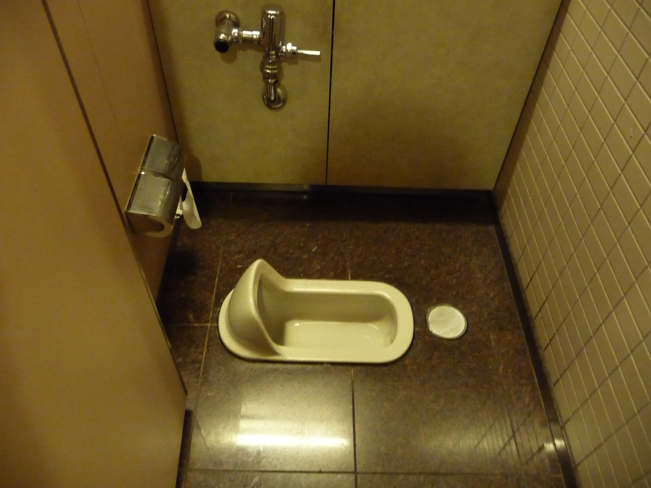 NRT_Squat-Toilet.JPG