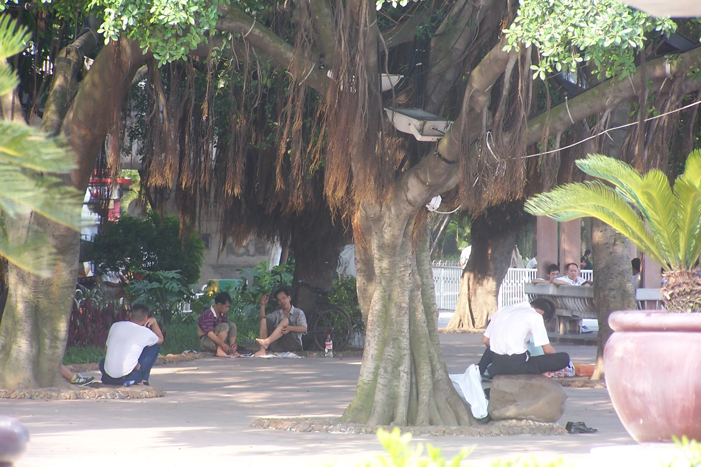 100_6407.JPG
