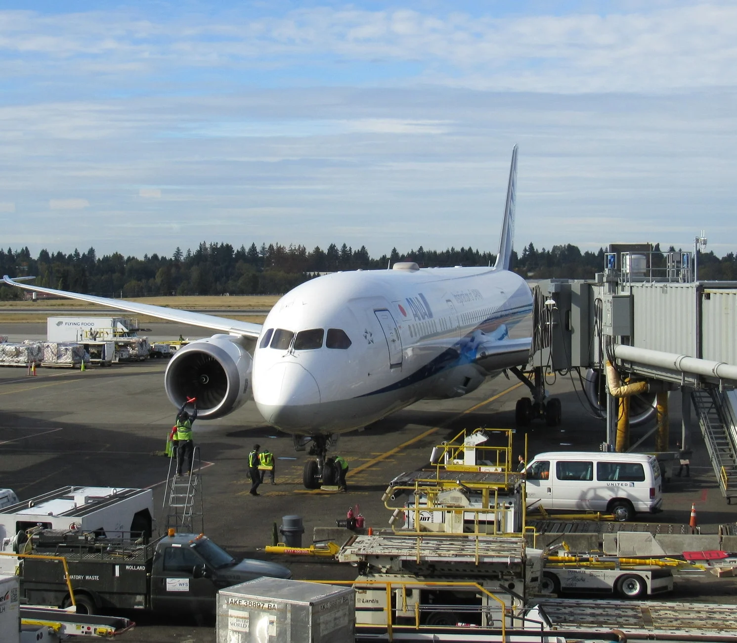 Survival Tips for Transpacific Flights