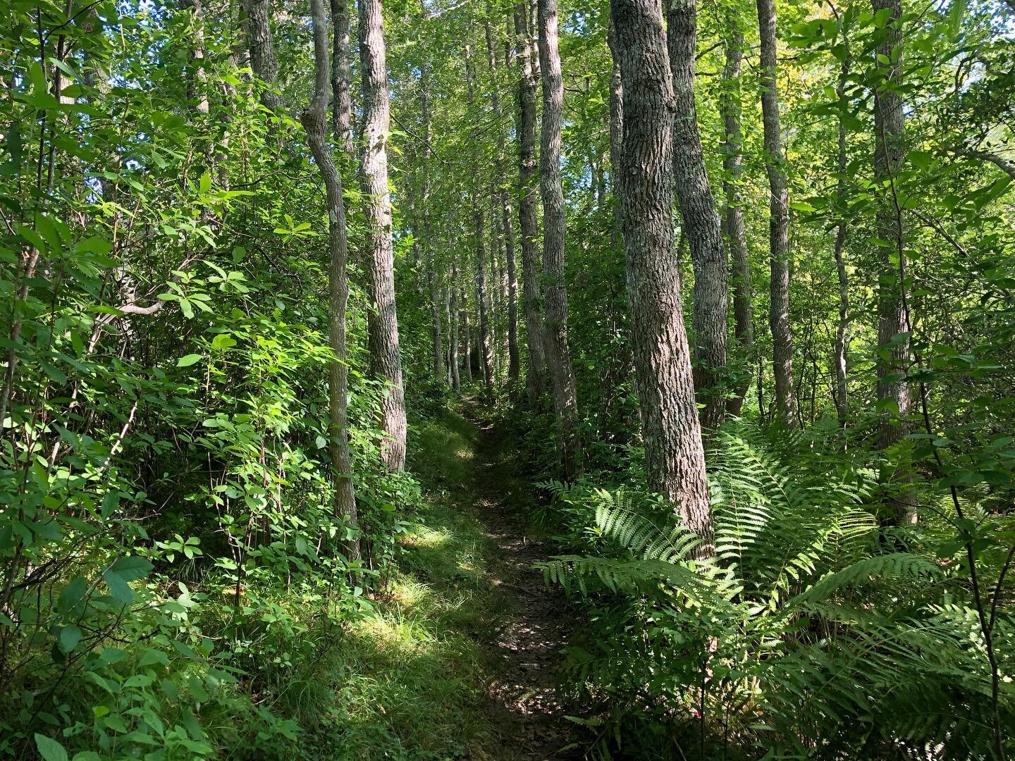 These paths shall always change&mdash; the wind blows, nothing&rsquo;s the same. 
Even with our own breaths, body&rsquo;s exchange, new and old in constant trade. 
Revolution, evolution, transition, conclusion. And it always carries on.