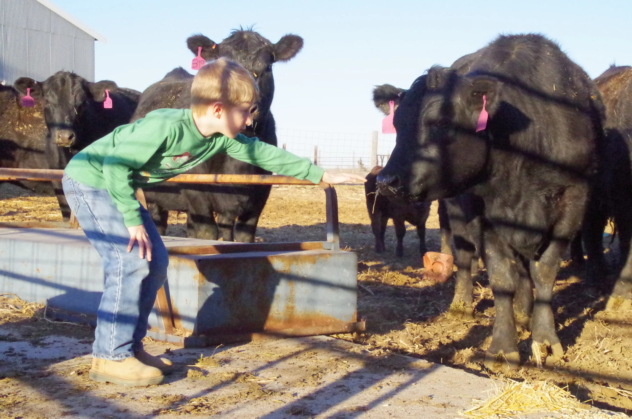 Winter Work on the Farm