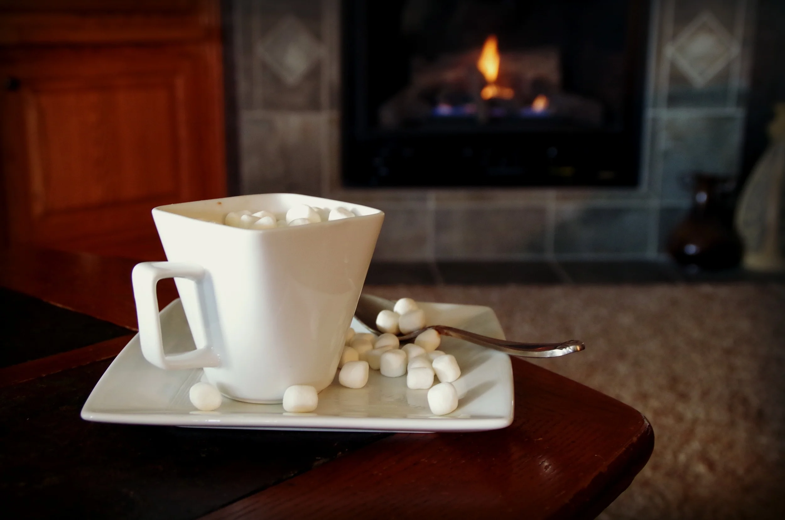 A Look Back on Christmas Break