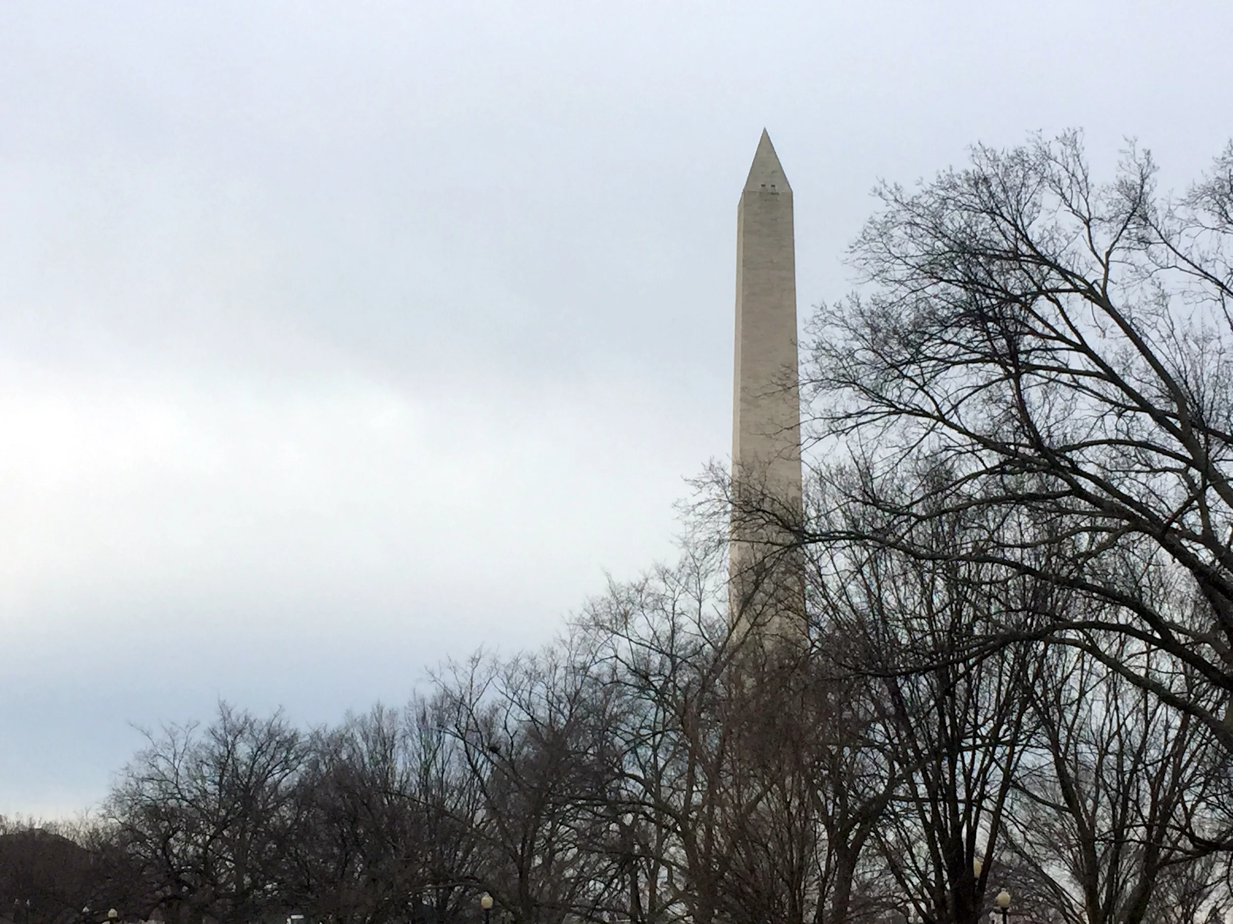 My Farm, Your Table, and a Trip to Washington D.C.