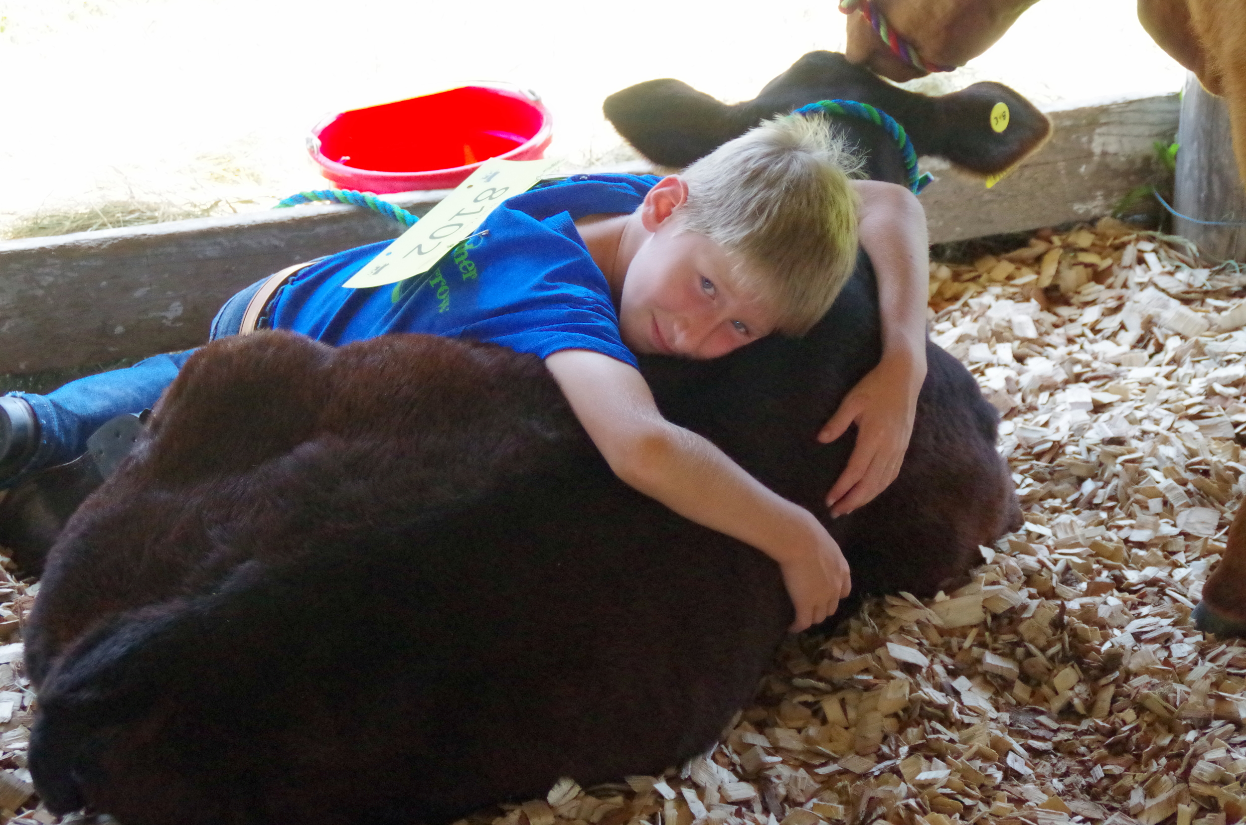 County Fair - Making Memories and Making a Difference