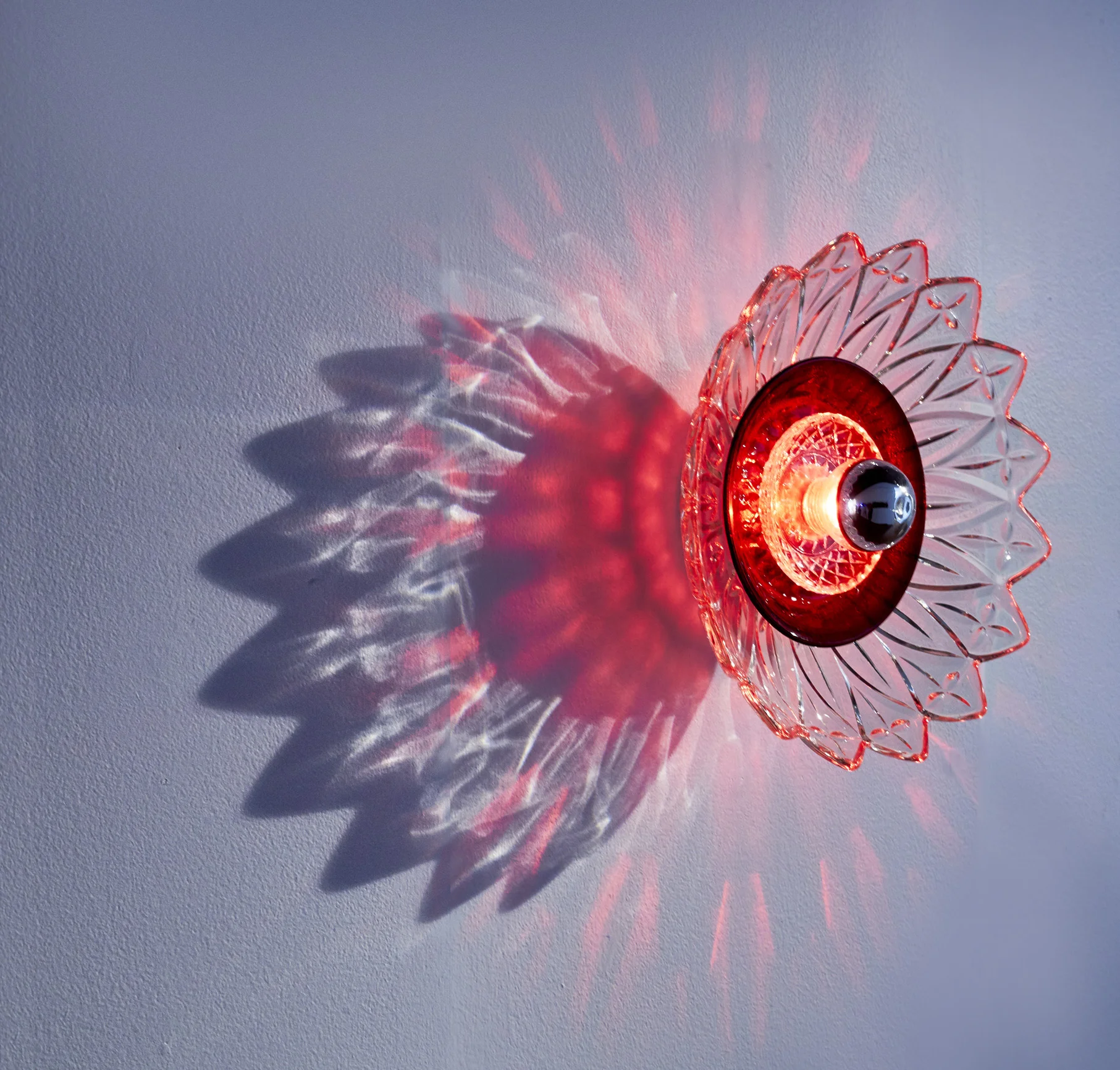 Red daisy4-sm.jpg