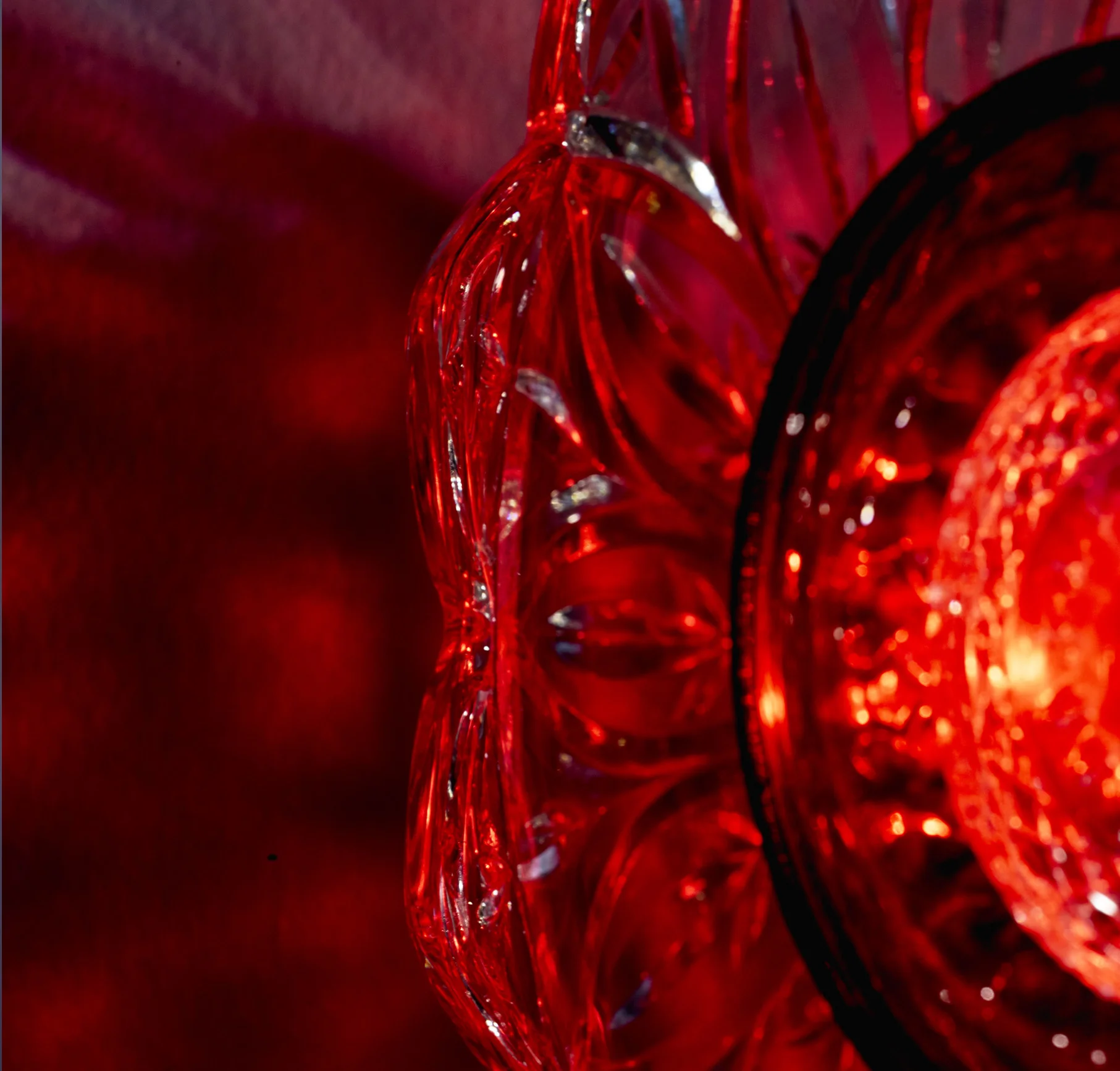 Red daisy detail2.jpg