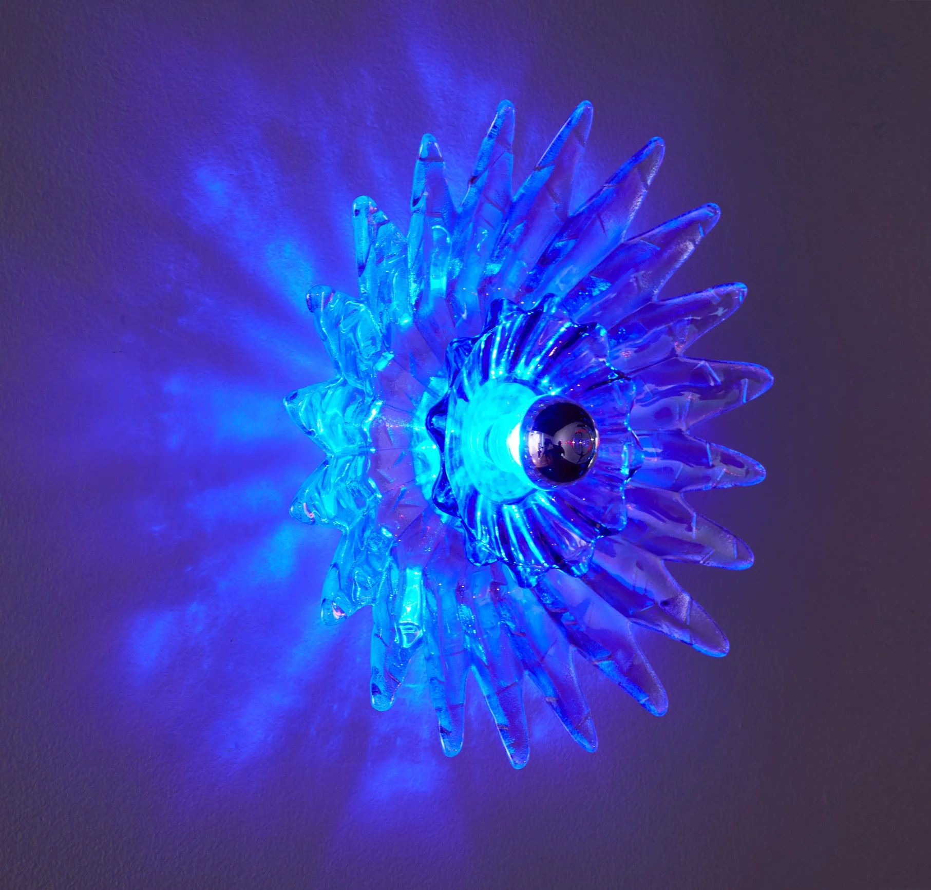 blue lotus2-sm.jpg