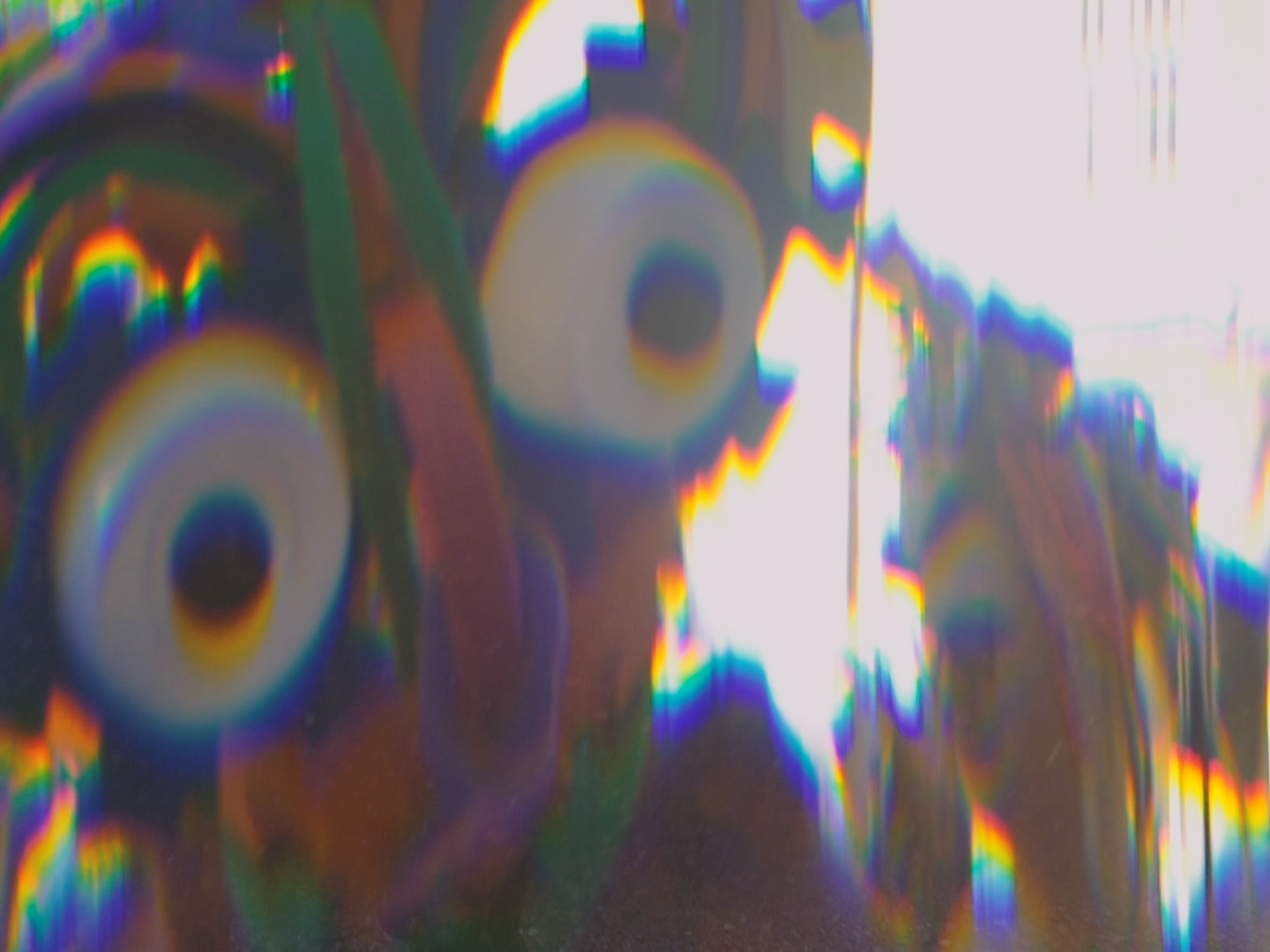 MIRAMIRAMIRA_DIRECTOR DP ALEX ROMANIA_IMG_8596.PNG