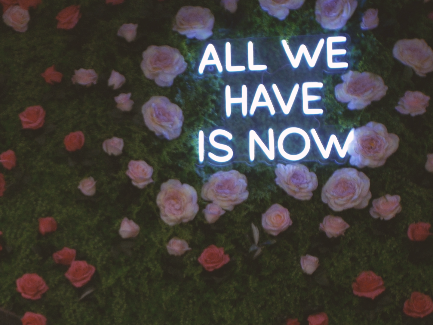 MIRAMIRAMIRA_DIRECTOR DP ALEX ROMANIA_IMG_8607.PNG