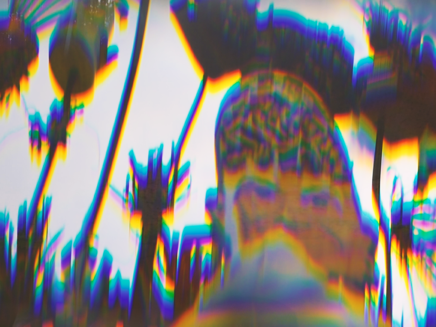 MIRAMIRAMIRA_DIRECTOR DP ALEX ROMANIA_IMG_8612.PNG