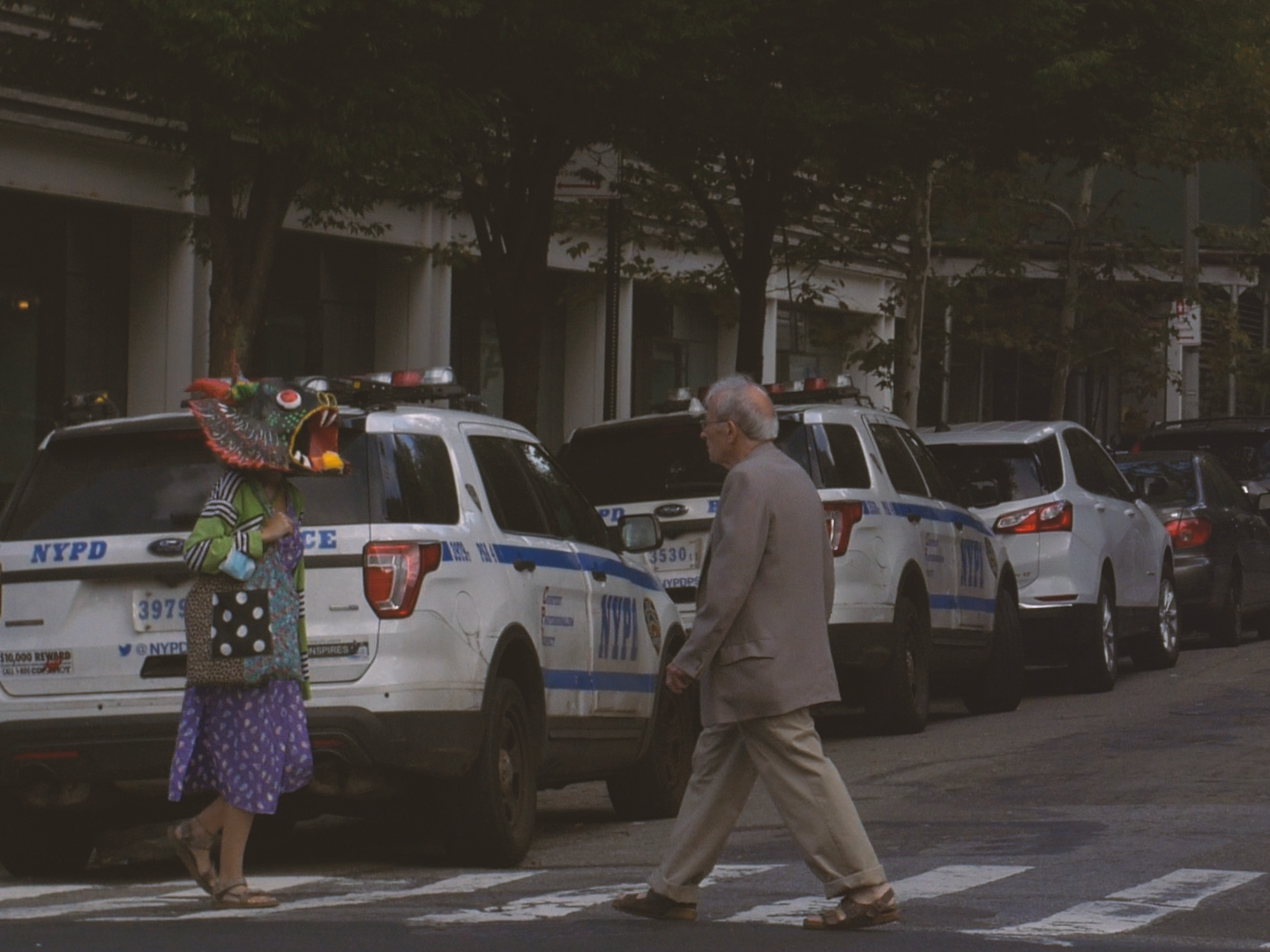 MIRAMIRAMIRA_DIRECTOR DP ALEX ROMANIA_IMG_8617.PNG