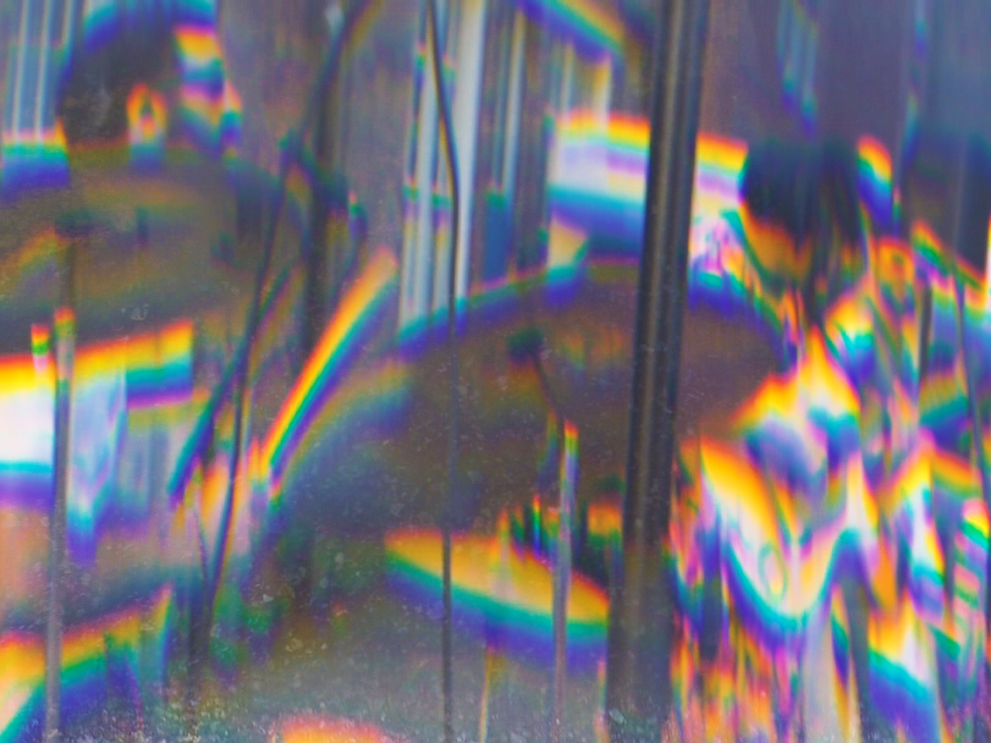 MIRAMIRAMIRA_DIRECTOR DP ALEX ROMANIA_IMG_8618.PNG