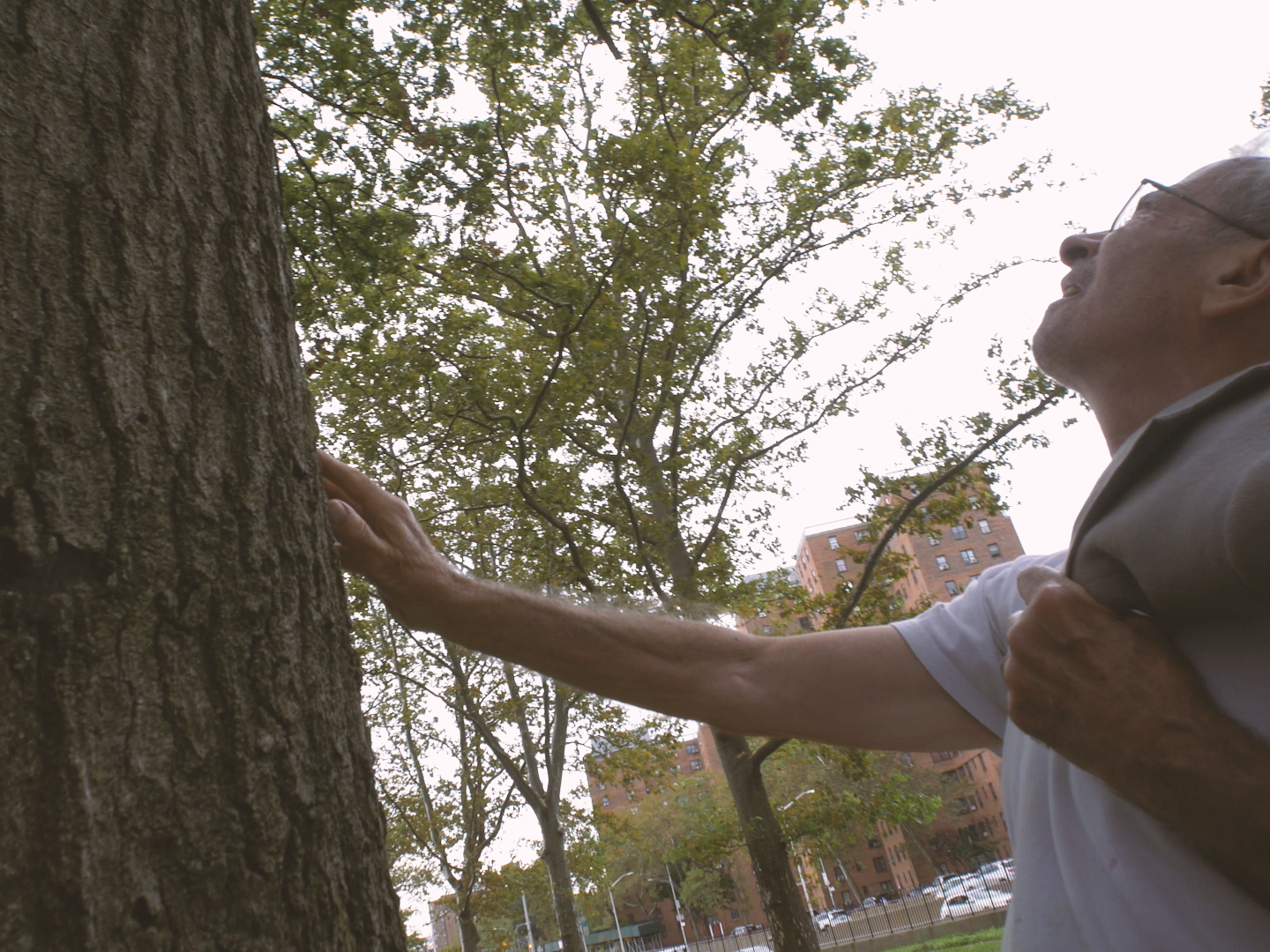 MIRAMIRAMIRA_DIRECTOR DP ALEX ROMANIA_IMG_8619.PNG