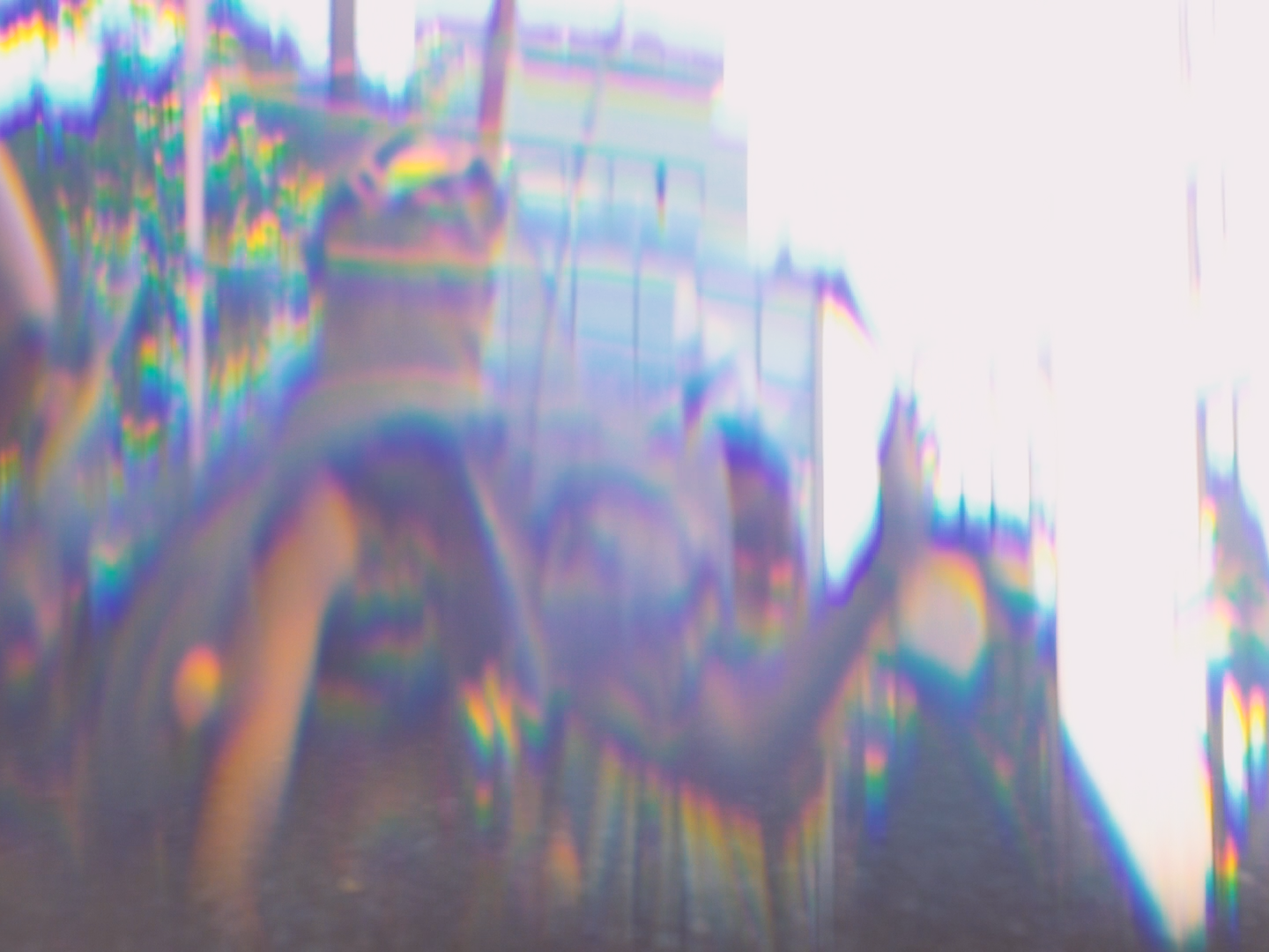 MIRAMIRAMIRA_DIRECTOR DP ALEX ROMANIA_IMG_8620.PNG