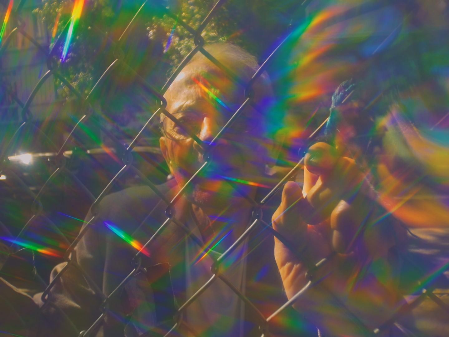 MIRAMIRAMIRA_DIRECTOR DP ALEX ROMANIA_IMG_8628.PNG