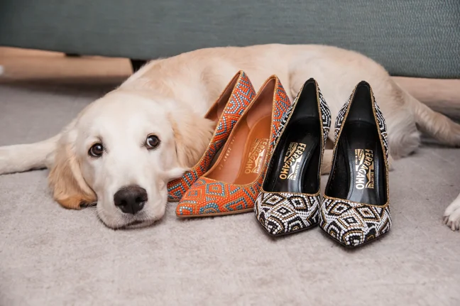 FerragamoVogue-90sm.jpg
