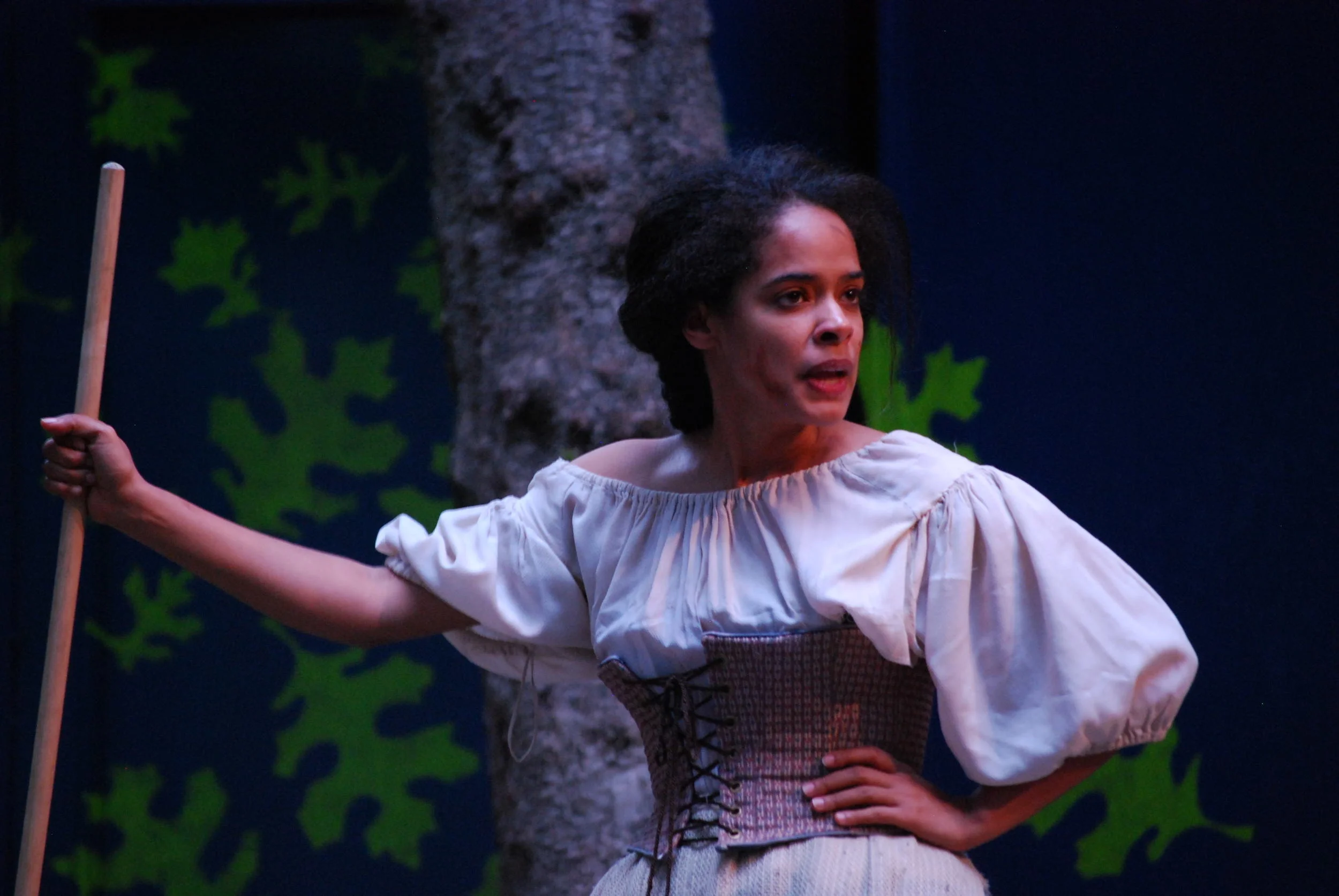 The Beard of Avon - Directed by Steve Boyle - Santa Cruz Shakespeare