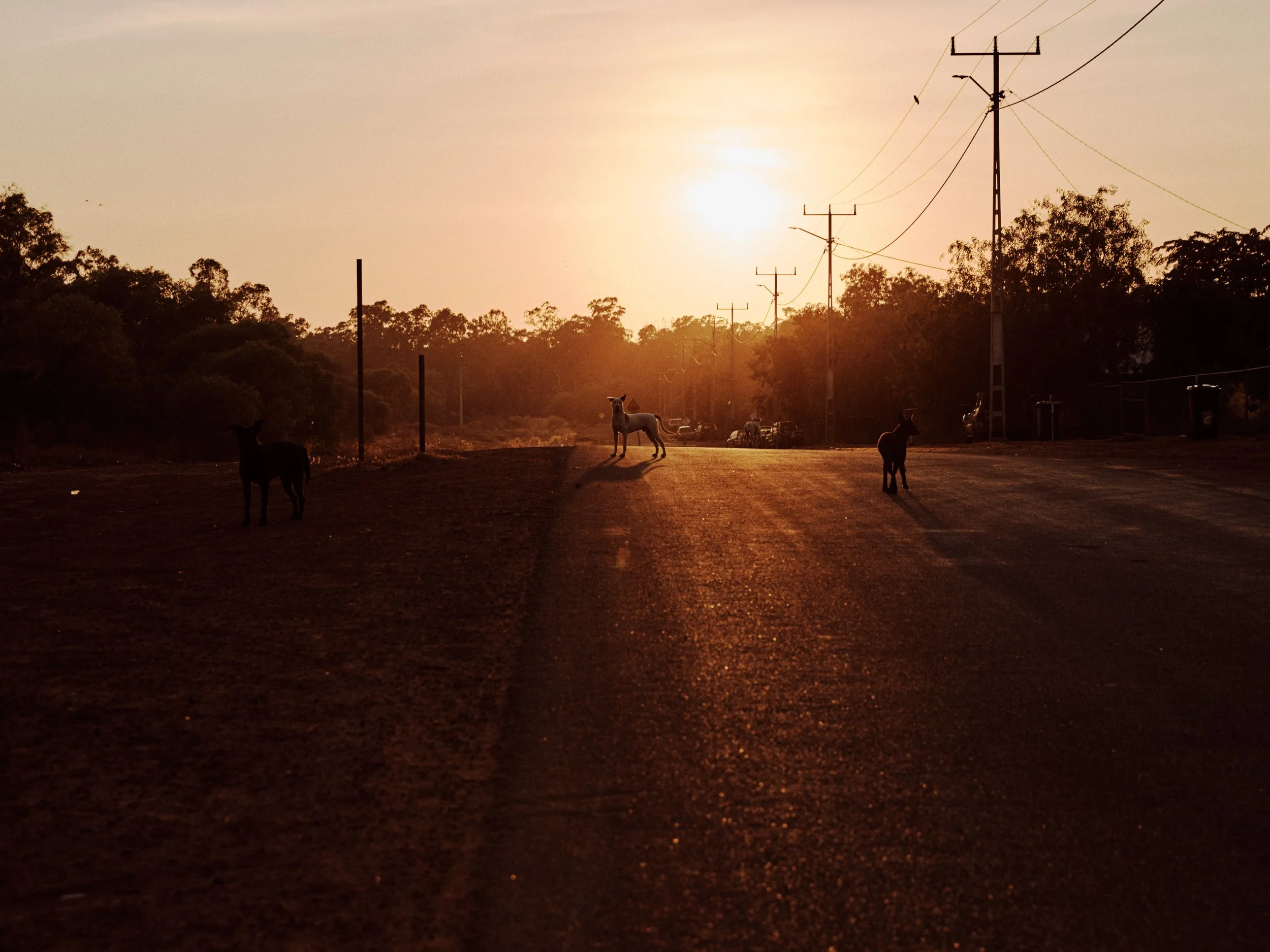 20190725_Maningrida_Capture_ 903.jpg