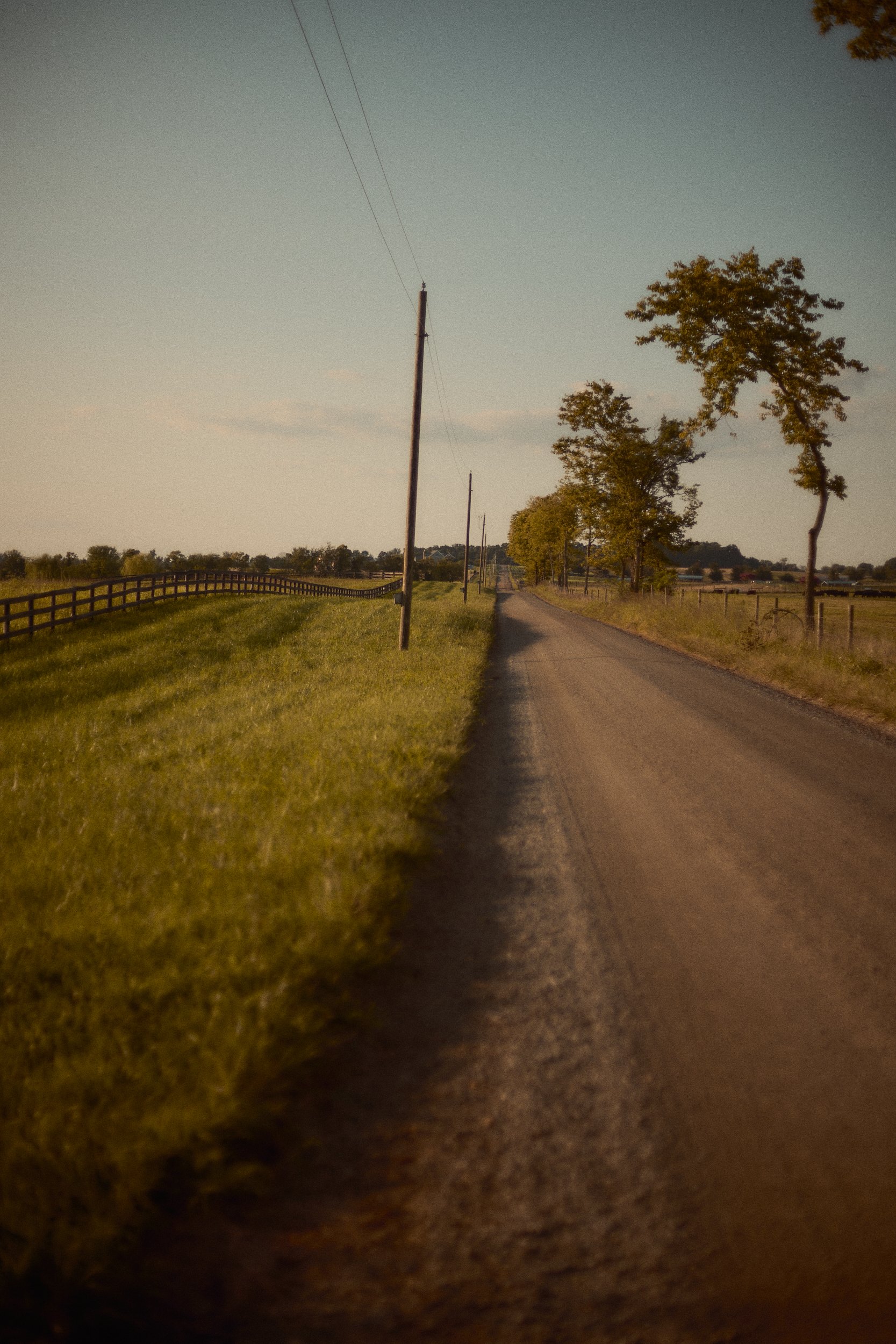_MG_5487.jpg