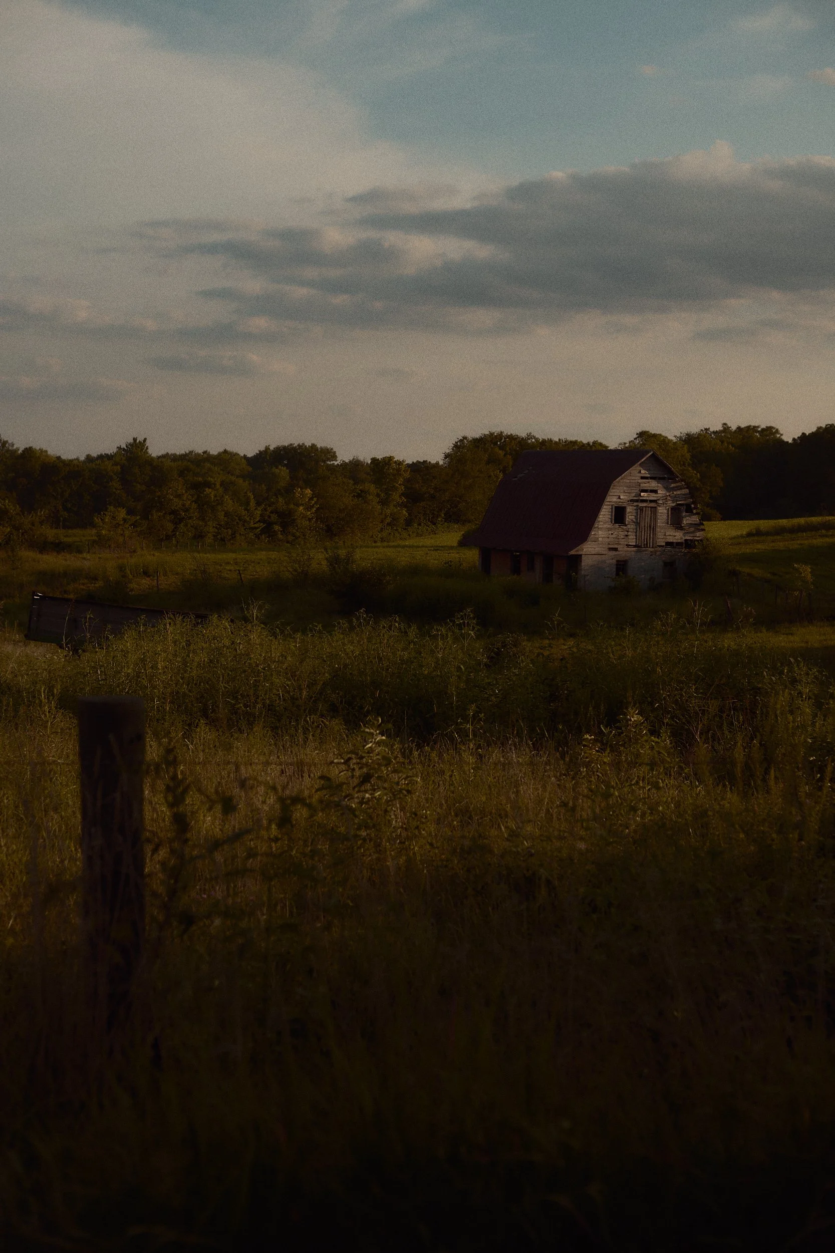 _MG_5483.jpg