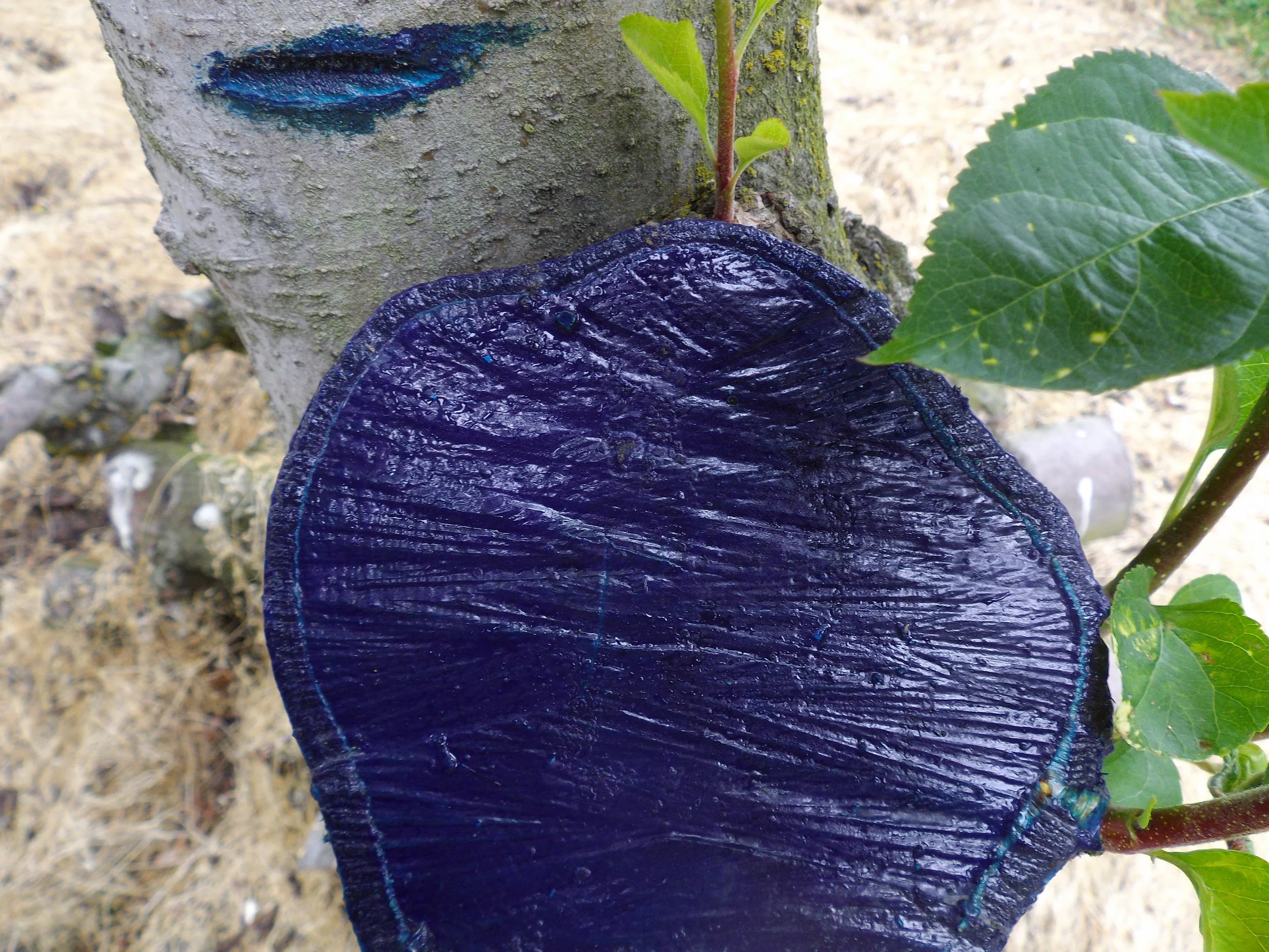 PruneTec® Large Seal