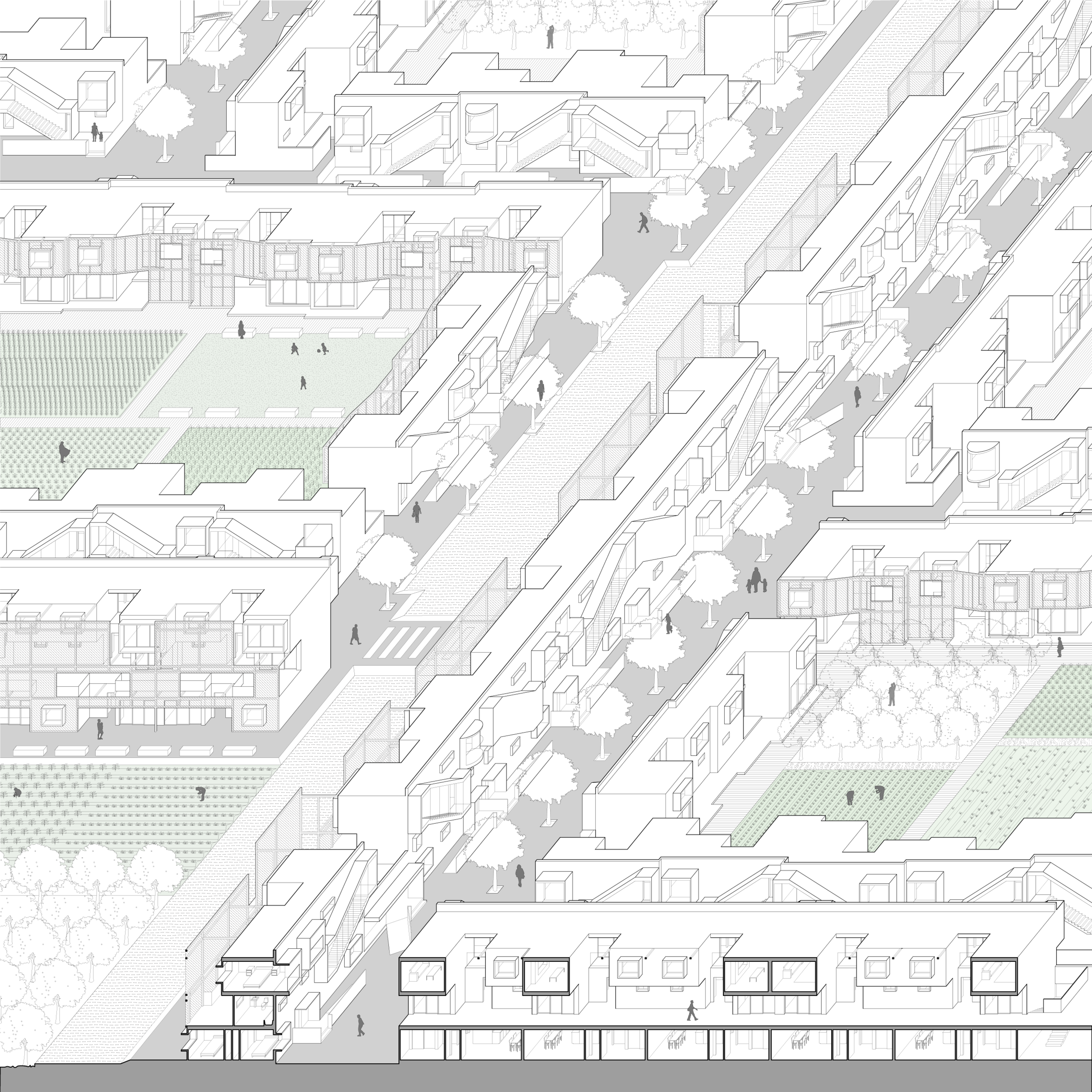 Section oblique: Initial Stages of Occupancy&nbsp;