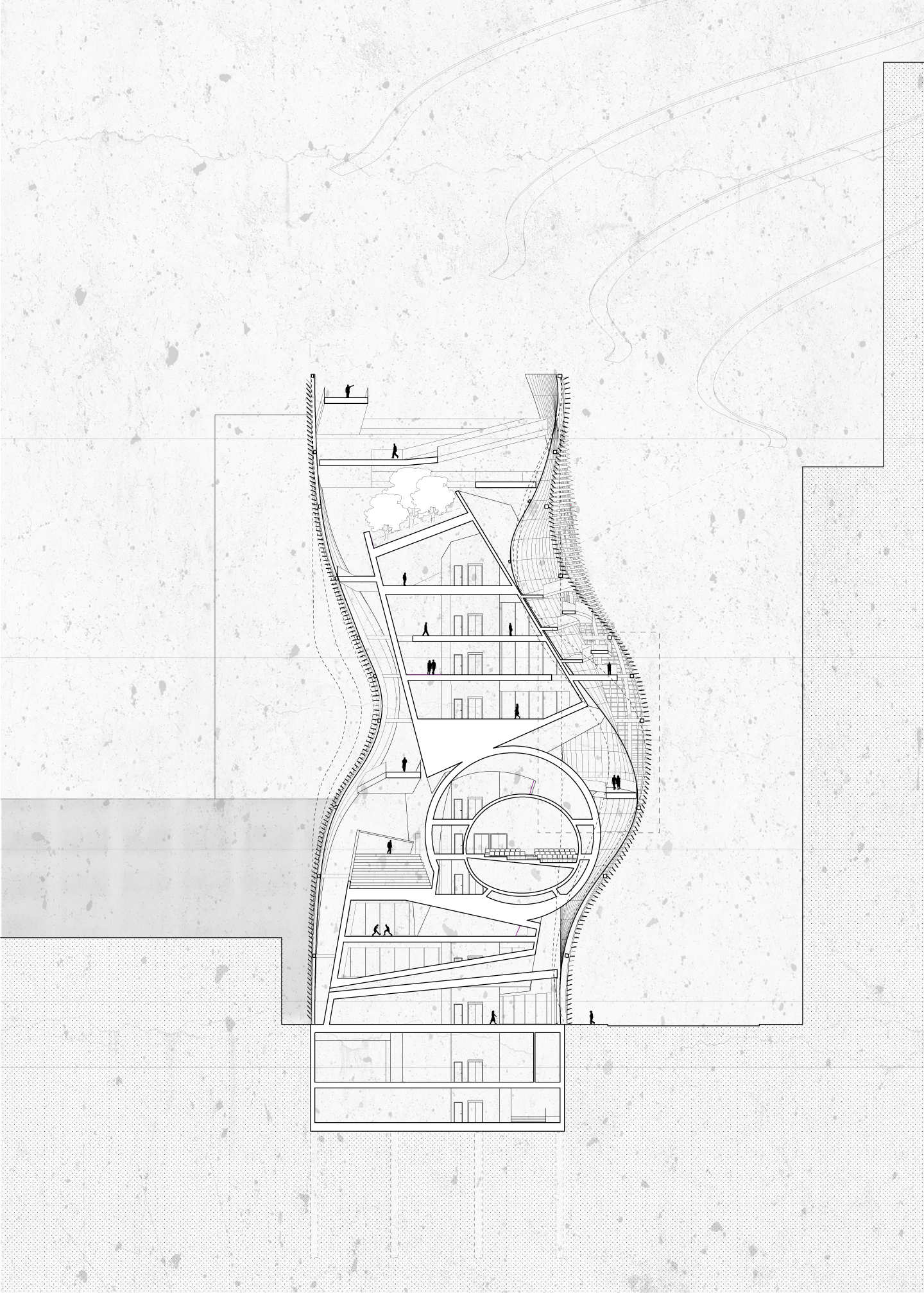 Section (Short)