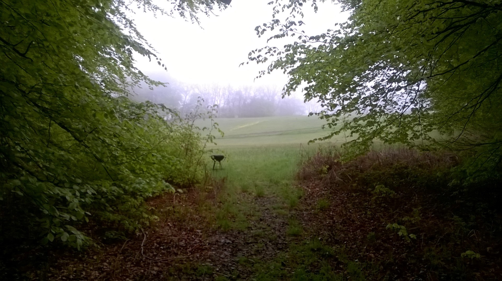 Woodland camping