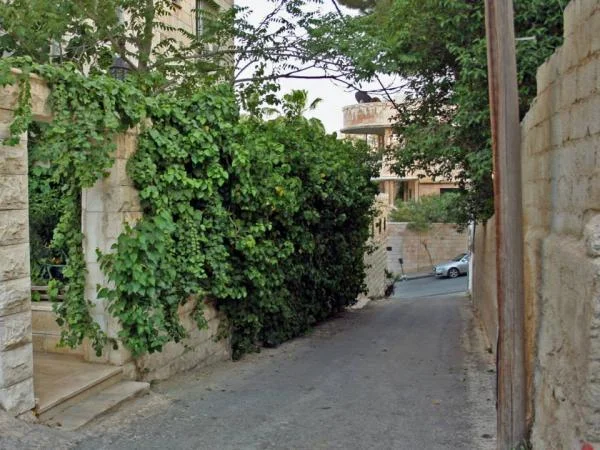 View from the pathway showing the Mango House across Rainbow Street. لقطة مأخوذة من الممر يظهر فيها منزل عائلة منكو في الجهة المقابلة من شارع الرينبو