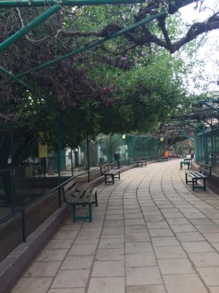   View of a shaded seating area in the park taken from the east   لقطة لمساحة مظللة للجلوس في الحديقة مأخوذة من الشرق  