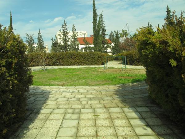   View of a planted area in the park   لقطة لمساحة مزروعة في الحديقة&nbsp;  