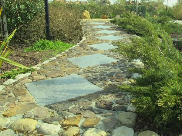 The Japanese Public Garden The Japanese Public Garden in Amman's Abdoun area was opened in 2010. It was funded by a number of parties including the Greater Amman Municipality and the Japanese International Cooperation Agency. The garden, which was designed by a Japanese designer, aims at highlighting the main elements of a traditional Japanese garden, including water, rocks, and bridges. الحديقة اليابانية افتتحت الحديقة اليابانية في منطقة عبدون في عمّان في عام 2010. وقد قامت عدة جهات من ضمنها أمانة عمّان الكبرى والوكالة اليابانية للتعاون الدولي بتمويل هذه الحديقة العامة التي صممها مختص ياباني. ويهدف تصميم الحديقة إلى إبراز عدد من عناصر الحدائق اليابانية التقليدية من مياه وصخور وجسور. 