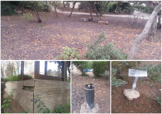   Images of the park's current condition   صور تبين الوضع الحالي للحديقة  