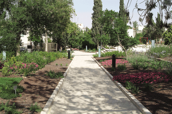 Figure 10: Water conserving plant displays and inorganic local mulch known as "tuf" stone.
