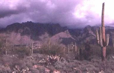 Fig. 1: A typical view of the landscape surrounding Tucson.