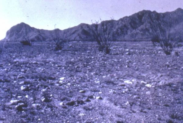 Fig. 5: An image from the 1950s showing an area outside Tucson where the plant community was destroyed as a result of over-grazing.