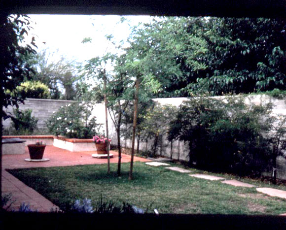 Figure 4: The landscaped area above the underground rainwater tanks at Casa del Agua: lawn area, Mesquite tree, and potted plants placed on the tanks' access manways.
