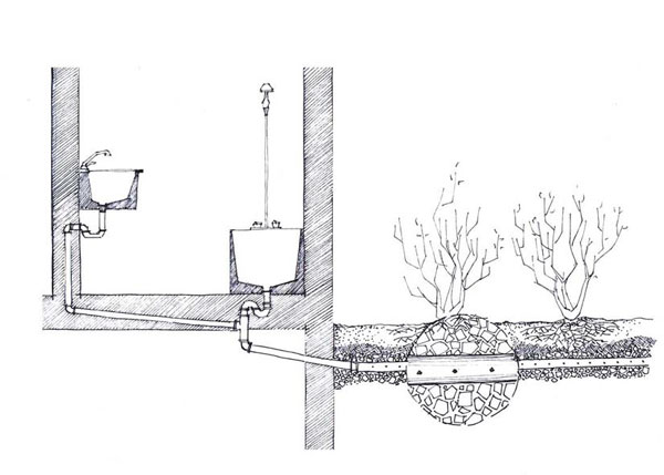 Figure 2.1: Simple graywater system in Amman (Drawing by Hind Hussein)