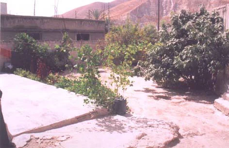 Figure 1: Graywater reuse at its simplest.