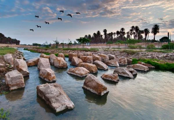 Wadi Hanifa Wetlands project in Riyadh. (Courtesy of the Aga Khan Award for Architecture)