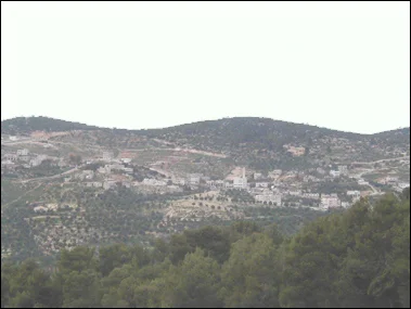  Building activity in the hills of the Ajlun area. (Mohammad al-Asad)