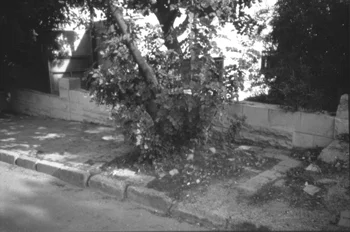  A dysfunctional sidewalk in Amman. (Lina As'ad)