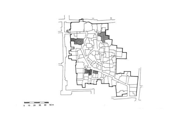 Figure 9: Plan of one of Damascus' quarters showing gates built in through lanes.