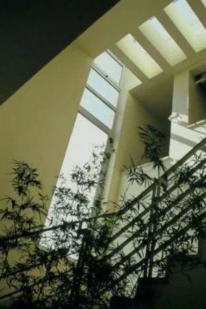 Figure 9: Abdulwahab House, view of staircase.
