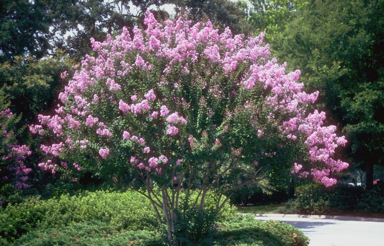 Image source: http://www.hgtv.com