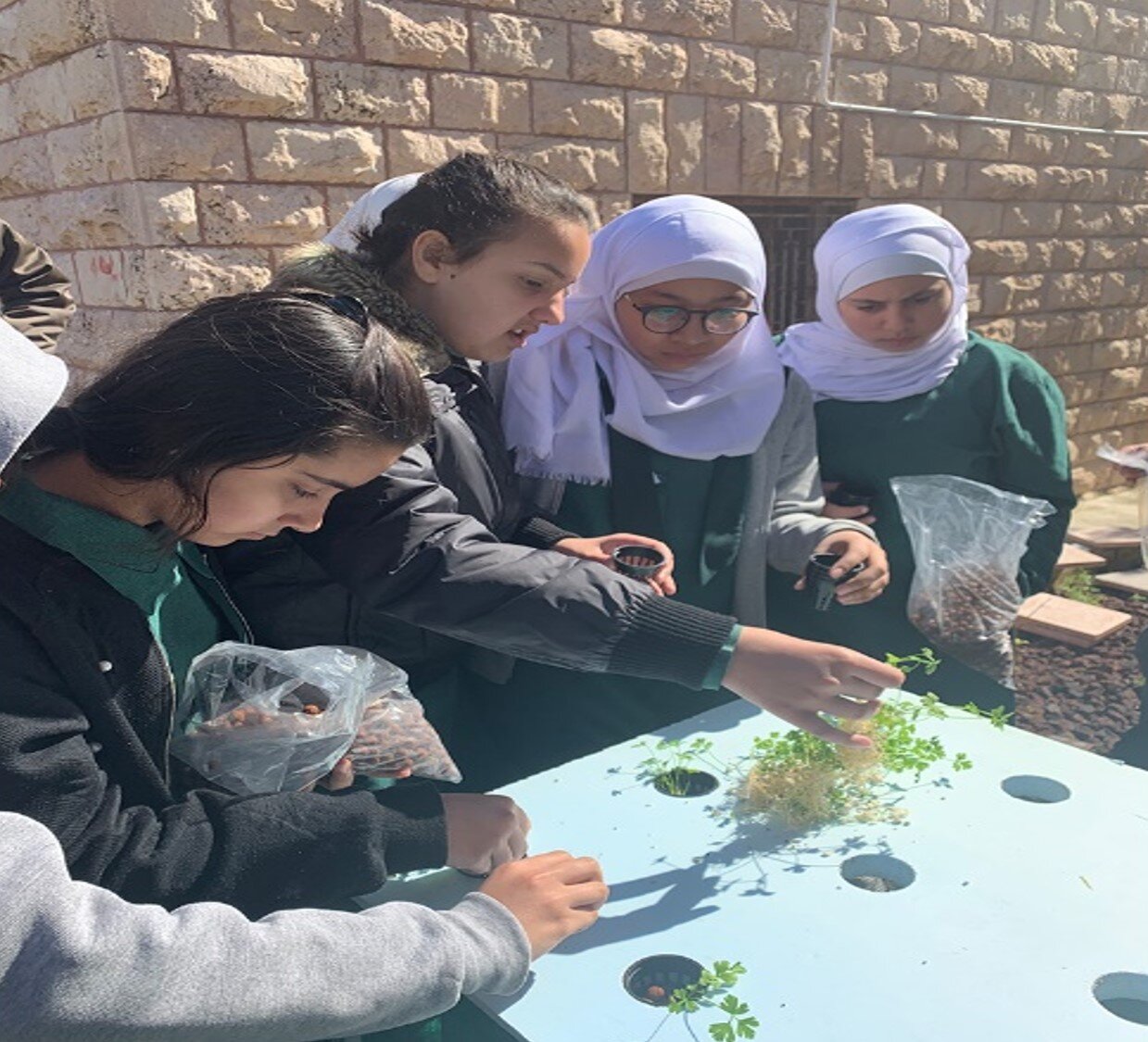 Students planting seedlings in one of the hydroponic planting kits that CSBE provided to the school.