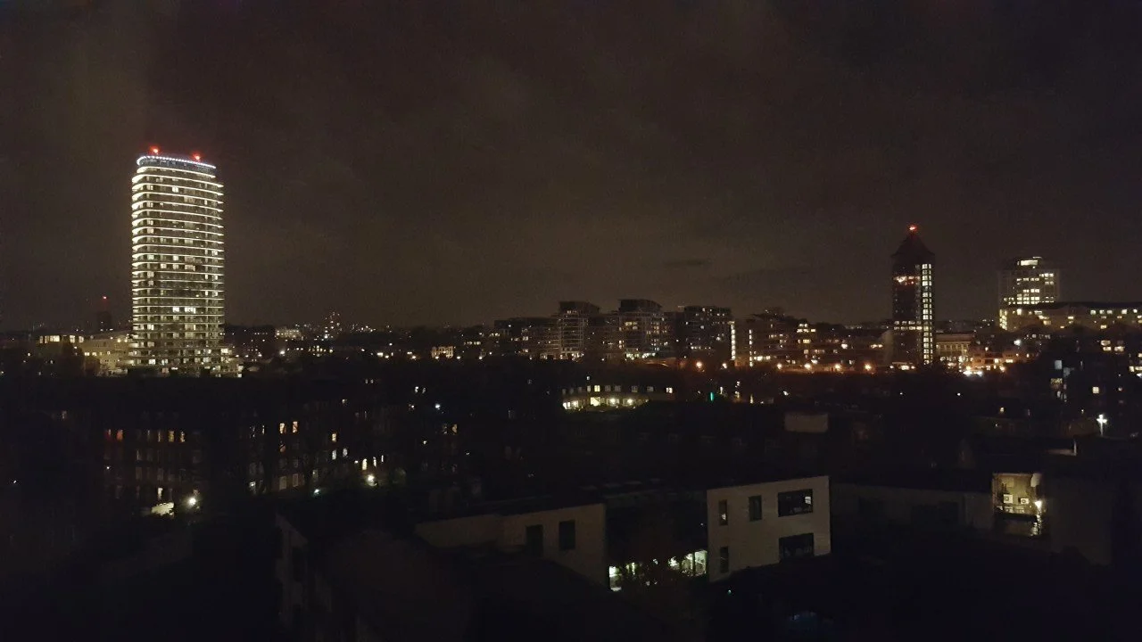 The Mouse Who Looked Up To The Hawk As If To Say, 'Bring It.'​