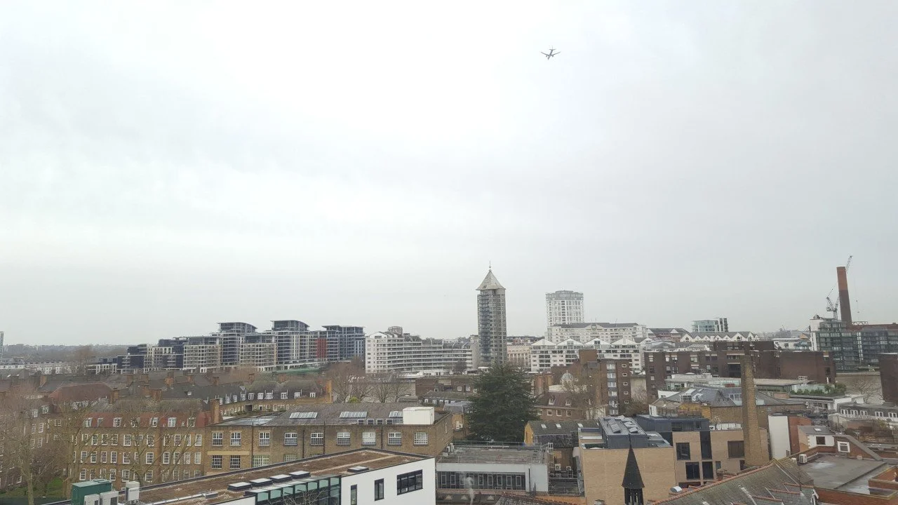 The States, Stages and Animal Aspects of Life