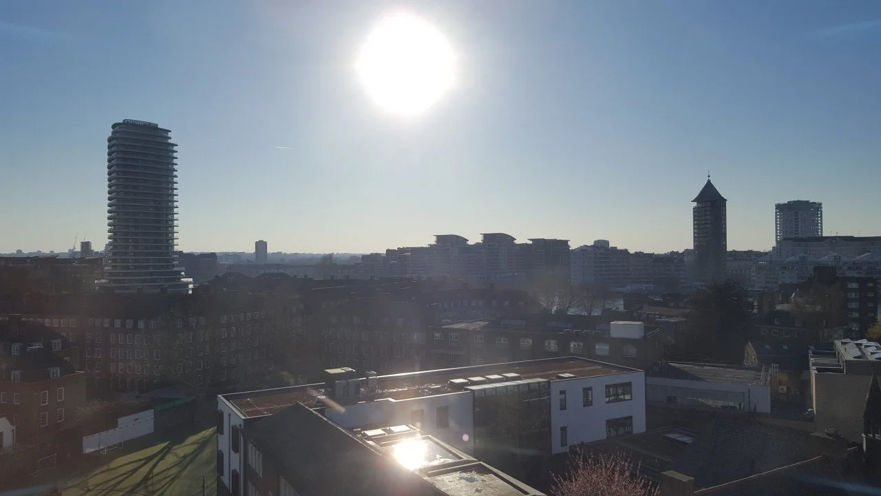 What Did You Do During the Coronavirus Pandemic?