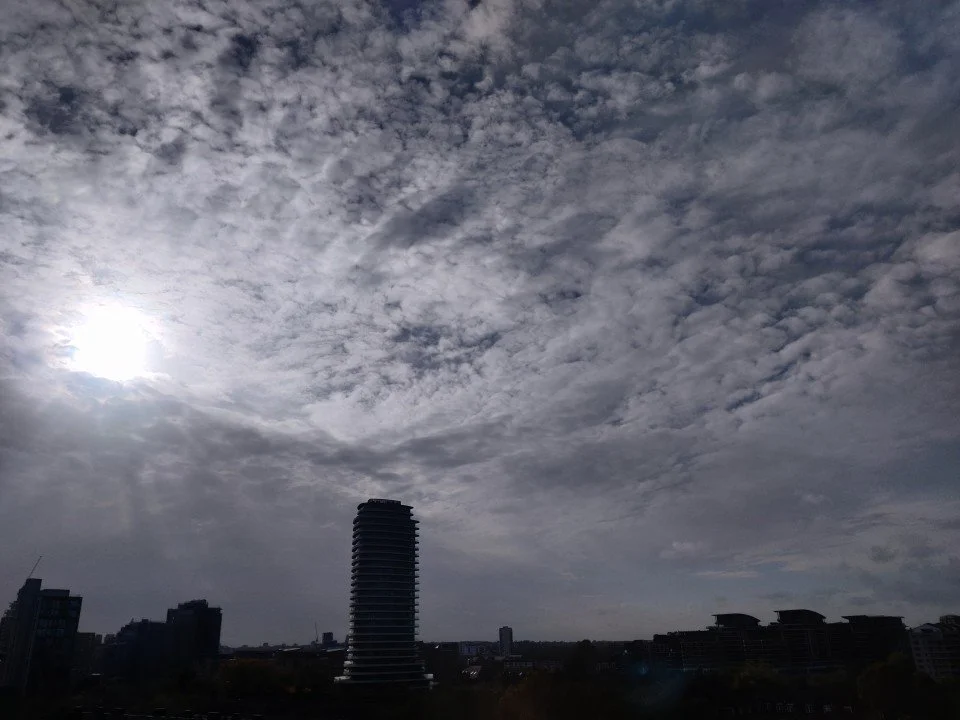 One Day, After Will Come. But Until Then, Look After Yourself.